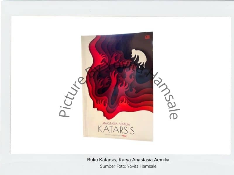 You are currently viewing Buku Katarsis: Apakah segila itu?